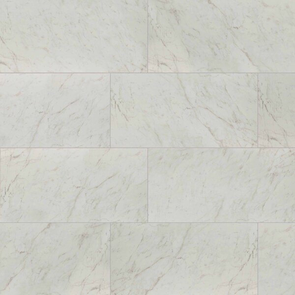 Kaya Carrara Bianco 24X48 Polished Porcelain Floor And Wall Tile, 2PK